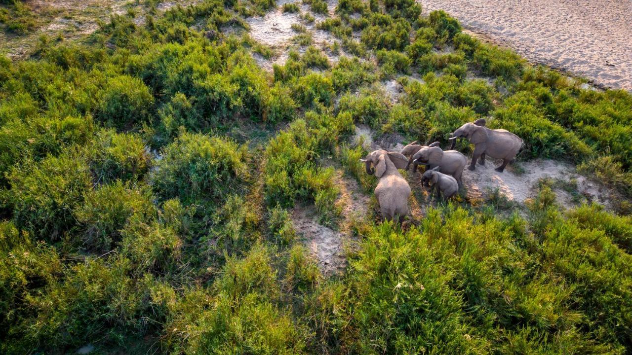 Buckler'S Africa Lodge Kruger Park Коматипорт Екстериор снимка
