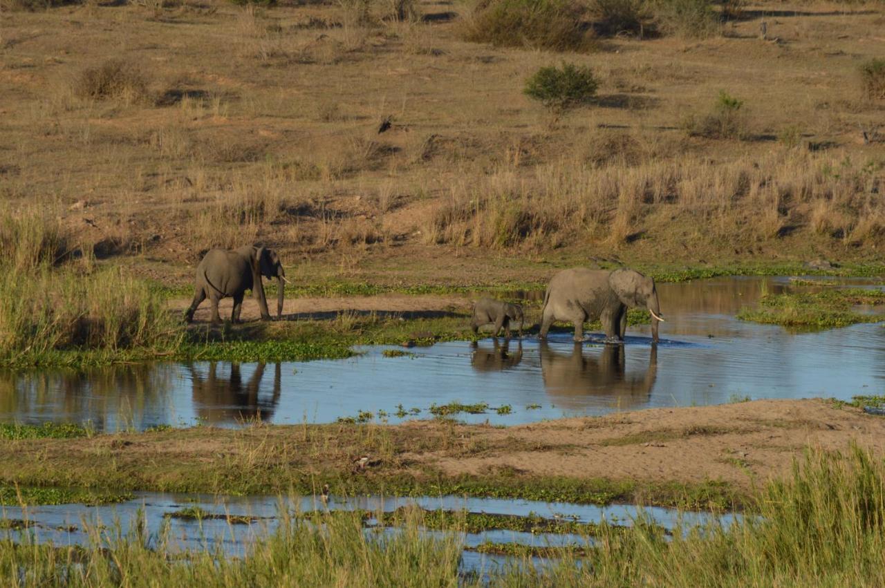 Buckler'S Africa Lodge Kruger Park Коматипорт Екстериор снимка